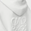 Anagram-Kapuzenpullover mit Reißverschluss aus Wolle Anagram-Kapuzenpullover mit Reißverschluss aus Wolle