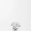Chameleon-Anstecker aus Messing Chameleon-Anstecker aus Messing
