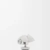 Chameleon-Anstecker aus Messing Chameleon-Anstecker aus Messing
