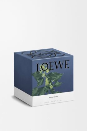 Große Efeu-Kerze
