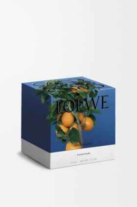 Große Kerze mit Orangenblüte