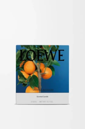 Große Kerze mit Orangenblüte
