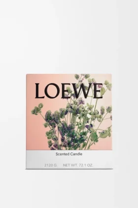 Große Oregano-Kerze
