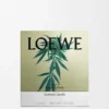 Große Scent of Marihuana-Duftkerze Große Scent of Marihuana-Duftkerze