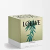 Große Scent of Marihuana-Duftkerze Große Scent of Marihuana-Duftkerze