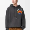 Hoodie aus Baumwolle Hoodie aus Baumwolle