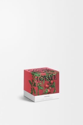 Kerze „Small Tomatenblätter“