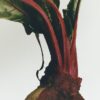 Kerzenhalter aus Wachs aus Rote-Bete-Wachs Kerzenhalter aus Wachs aus Rote-Bete-Wachs