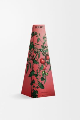Kerzenhalter „Tomatenblätter“ aus Wachs