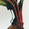Große Kerze aus Rote Bete Große Kerze aus Rote Bete