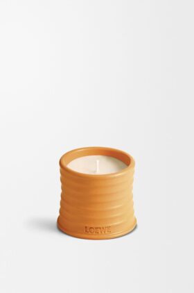Kleine Kerze mit Orangenblüte Kleine Kerze mit Orangenblüte