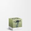 Kleine Marihuana-Kerze Kleine Marihuana-Kerze