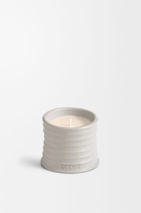 Kleine Oregano-Kerze Kleine Oregano-Kerze