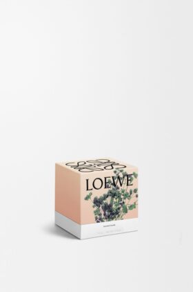 Kleine Oregano-Kerze Kleine Oregano-Kerze
