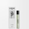 Loewe Aire Sutileza 15 ml Fläschchen Loewe Aire Sutileza 15 ml Fläschchen