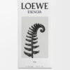 Loewe Esencia Elixir 100 ml
