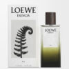Loewe Esencia Elixir 100 ml