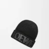 Loewe-Mütze aus Wolle Loewe-Mütze aus Wolle
