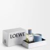 LOEWE Parfums Raumdüfte Zypressenzapfen Geschenkset LOEWE Parfums Raumdüfte Zypressenzapfen Geschenkset