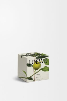 Midi Earl Grey Kerze Midi Earl Grey Kerze