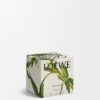 Midi-Kerze „Black Sesame“ Midi-Kerze „Black Sesame“