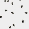 Midi-Kerze „Black Sesame“ Midi-Kerze „Black Sesame“