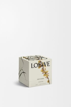 Midi-Kerze „Sweet Almond“ Midi-Kerze „Sweet Almond“