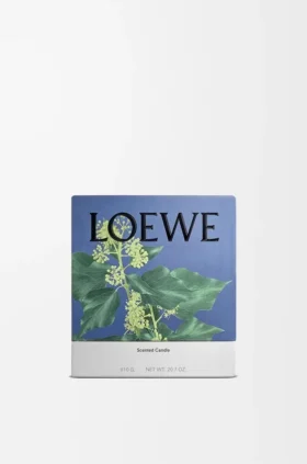 Mittlere „Efeu“-Kerze