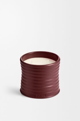Mittlere Kerze aus Rote Bete Mittlere Kerze aus Rote Bete