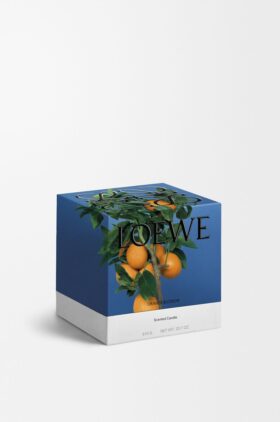 Mittlere Kerze mit Orangenblüte Mittlere Kerze mit Orangenblüte