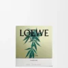 Mittlere Scent of Marihuana-Duftkerze Mittlere Scent of Marihuana-Duftkerze