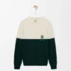 Pullover aus Wolle Pullover aus Wolle