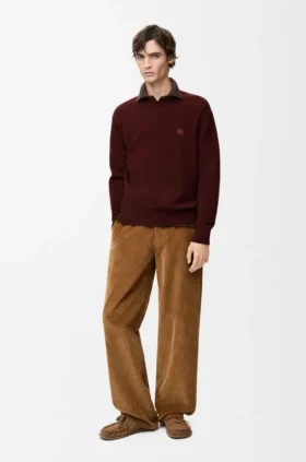 Pullover aus Wolle