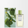 Raumspray mit Gurkenaroma Raumspray mit Gurkenaroma