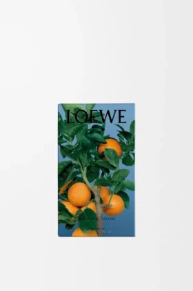 Raumspray „Orangenblüte“