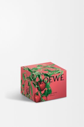 Tomatenblätter Körperpeeling