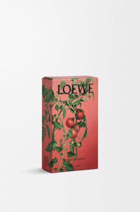 Tomatenblätter-Raumspray