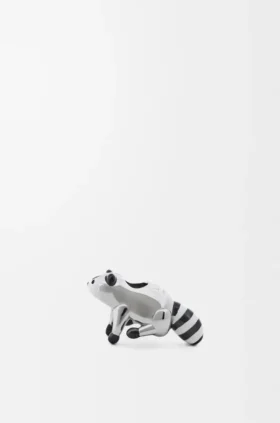 Waschbär-Würfel