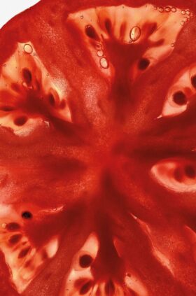 Tomatenblätter-Handreiniger